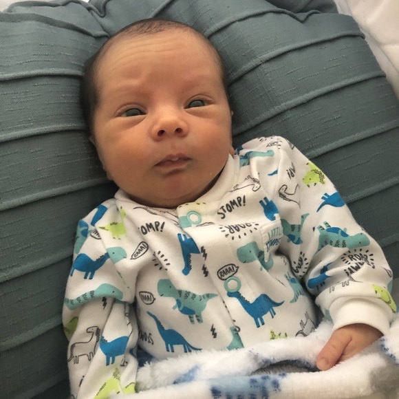 Meet your Posher, Savanah - Picture 3 of 7